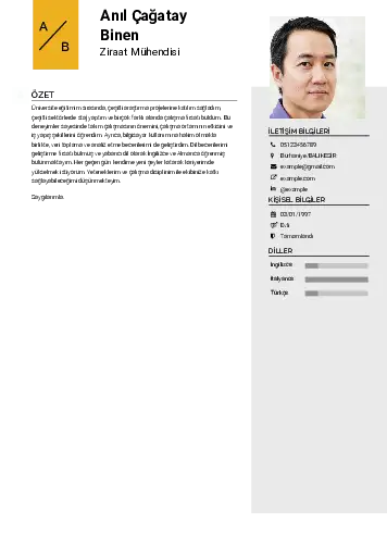 Ziraat Mühendisi Cv Örnekleri cv indir